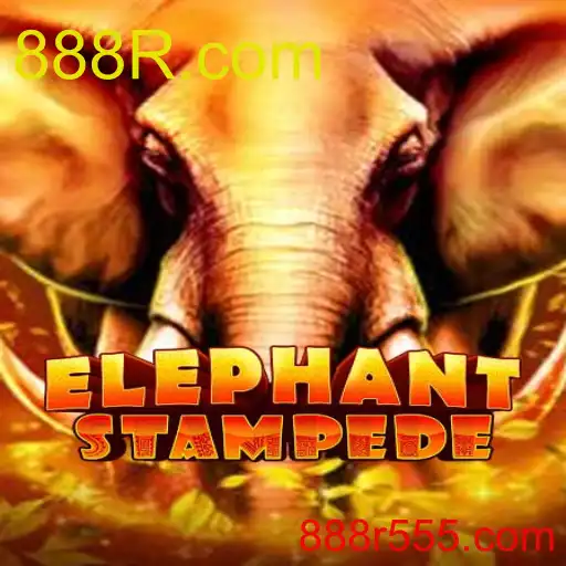 ElephantStampede